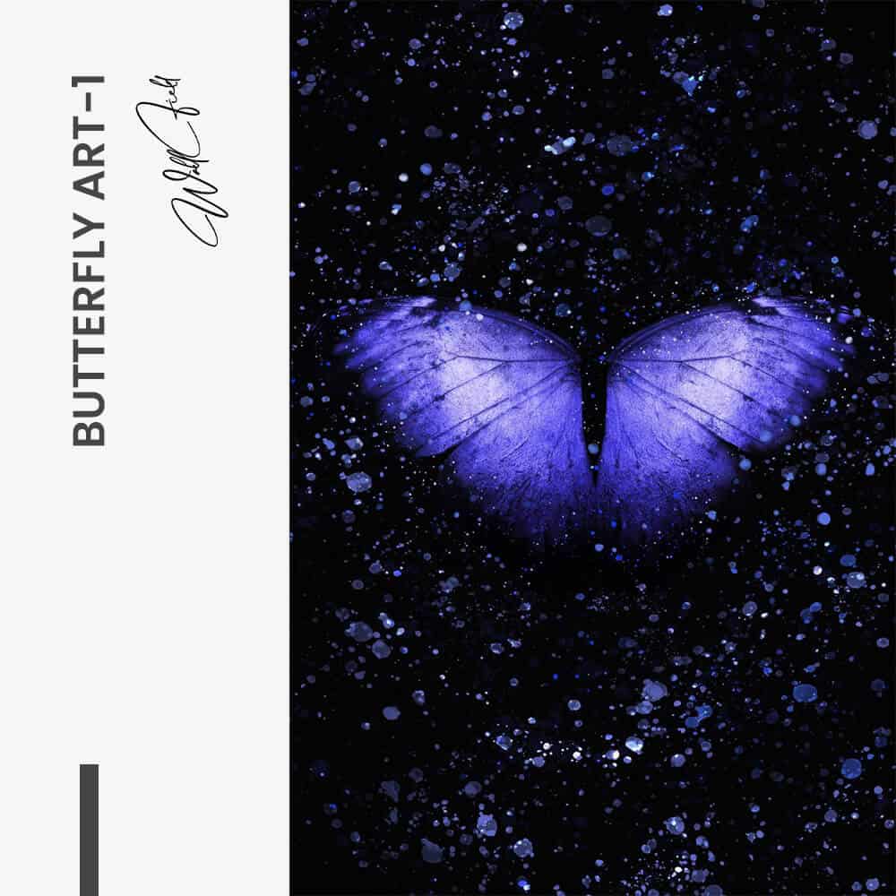Bundle: "Butterfly Art" (3x) – Vidrio