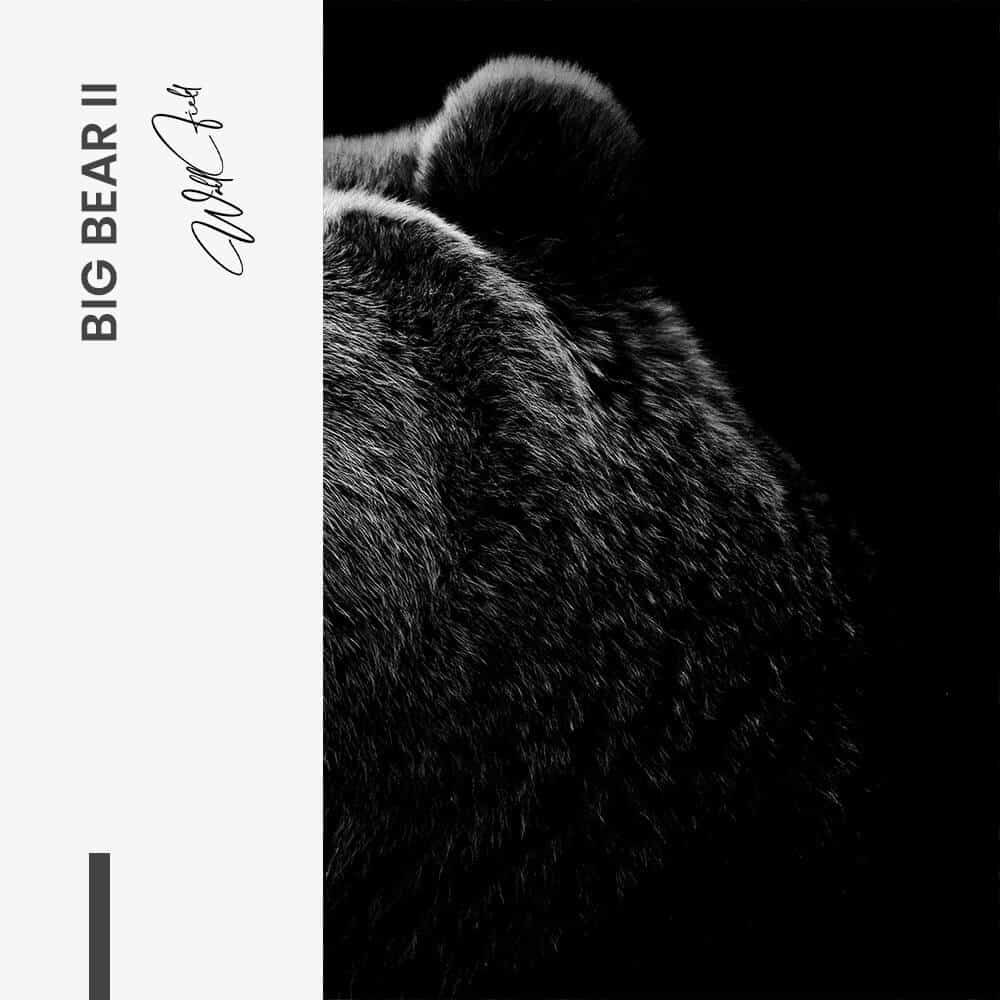 Bundle: "Big Bear" (2x) – Vidrio