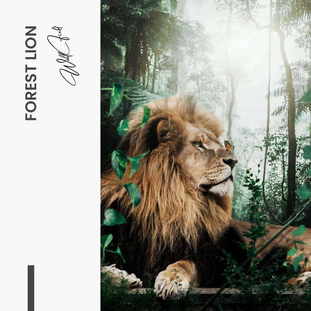 Forest Lion - Glass