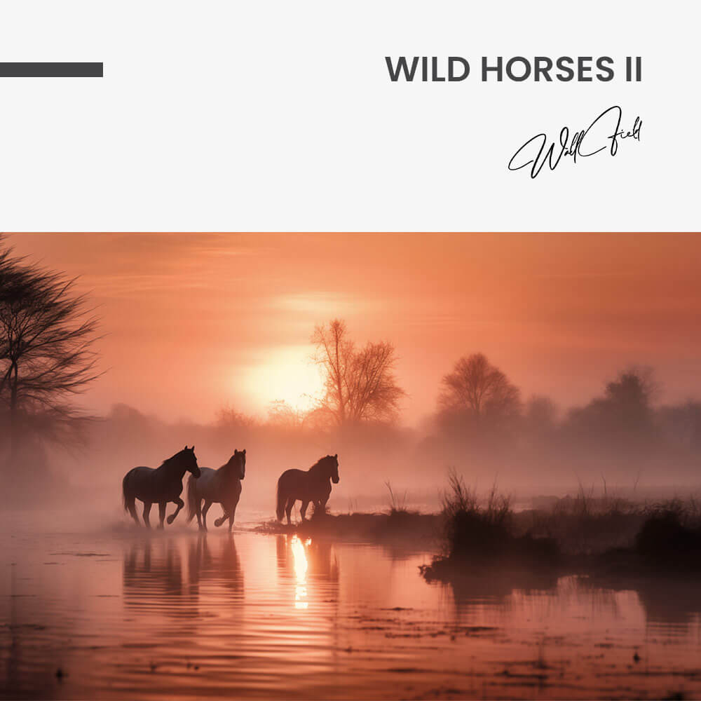 Wild Horses II – Vidrio