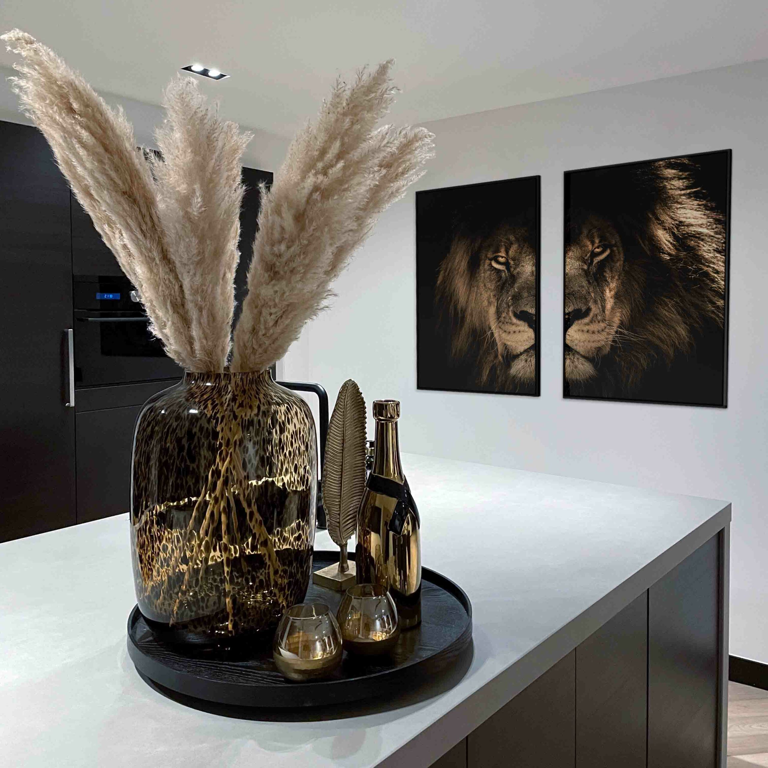 Bundel: Lion in the Dark (2x)