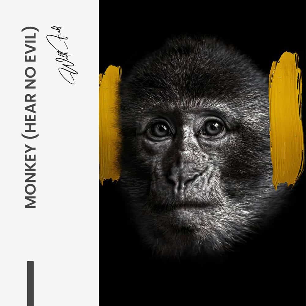 Monkey (hear no evil) - Glass