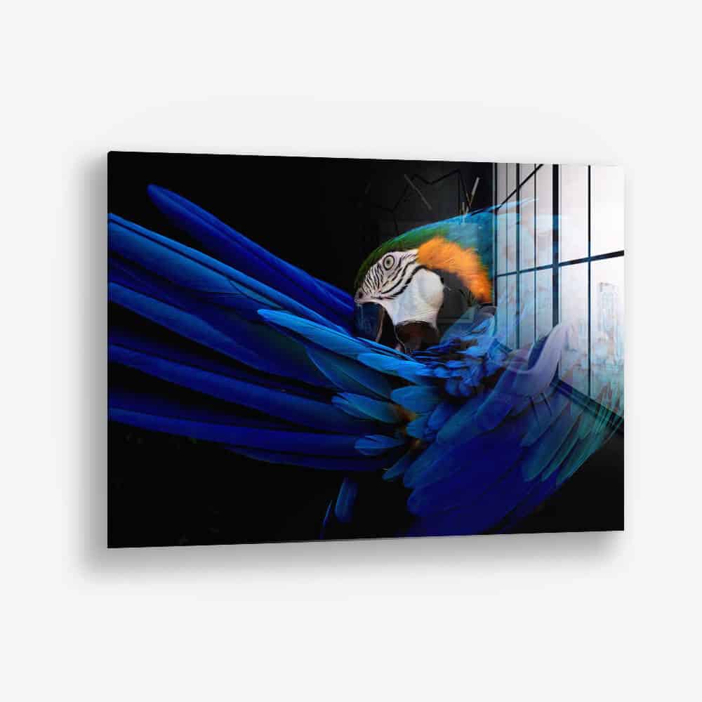 The Parrot – Glass