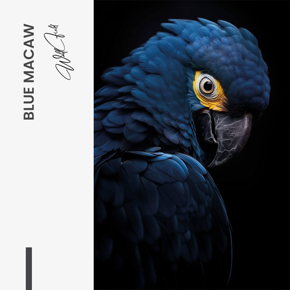 Blue Macaw – Vidrio