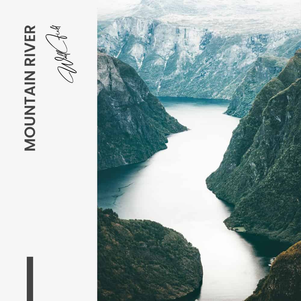 Bundel: Nature (3x) - Vidrio