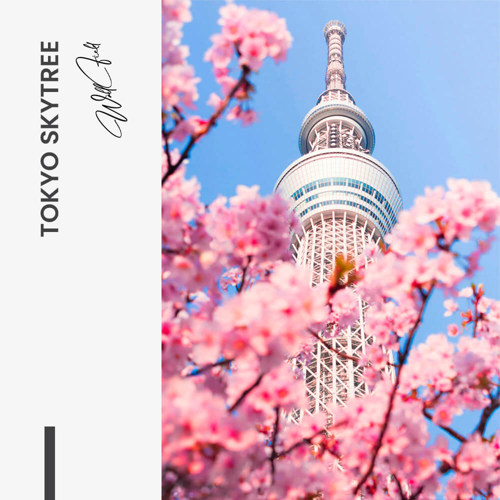 Tokyo Skytree – Vidrio