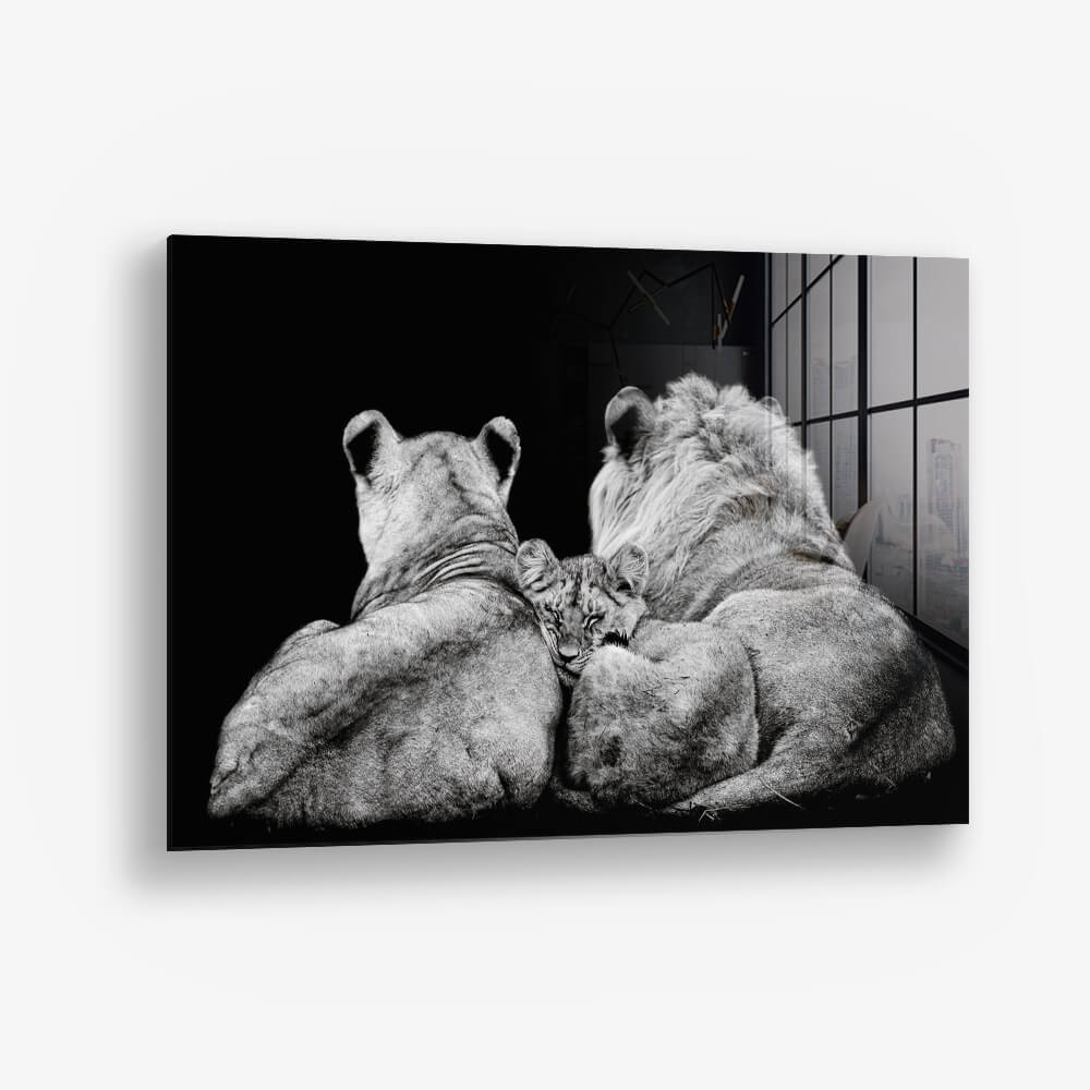 The Lion Family III – Glass