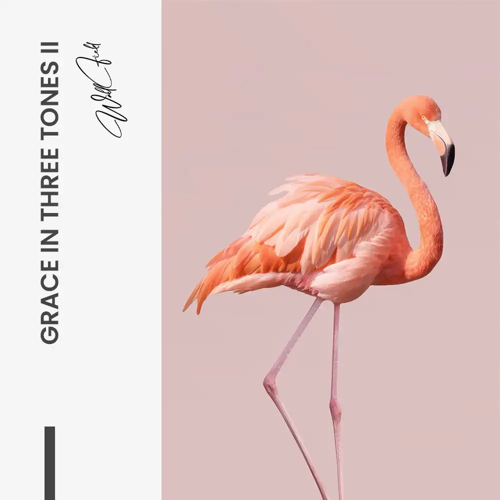 Grace in Three Tones II – Vidrio