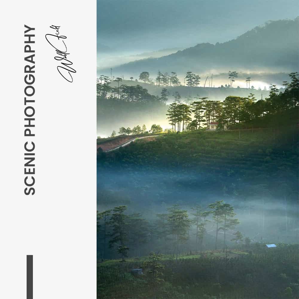 Scenic Photography – Vidrio