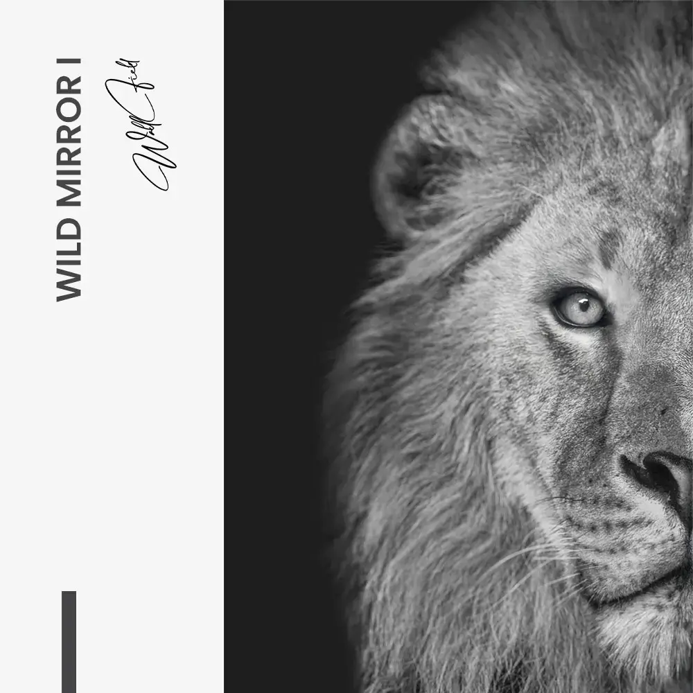 Bundle: "Wild Mirror" (2x)
