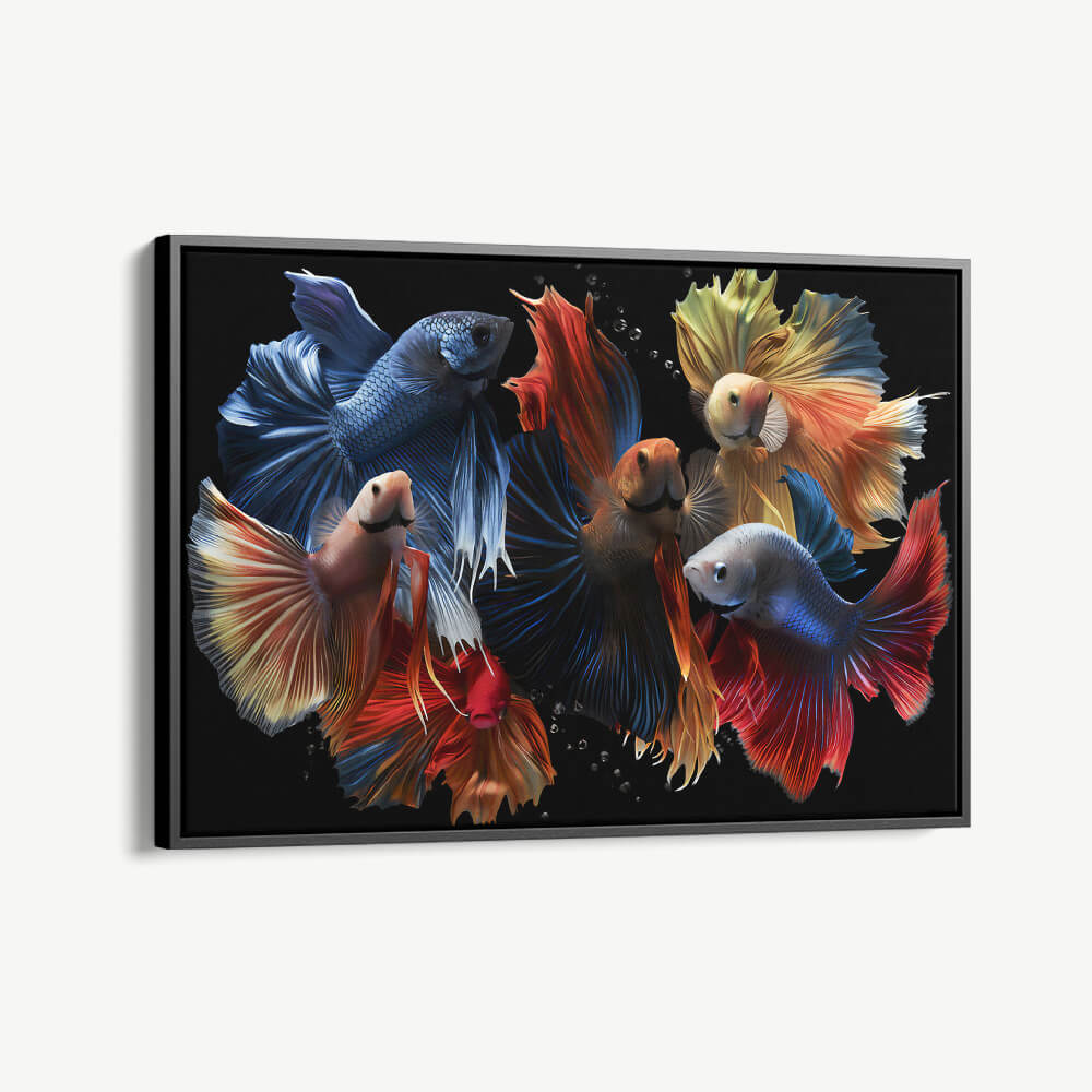 "Colourful Fishes"