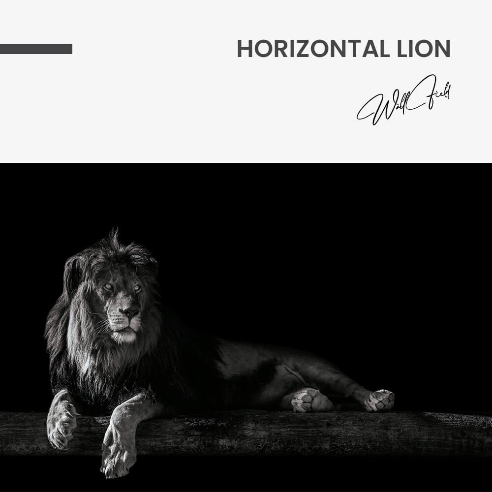 Horizontal Lion – Vidrio