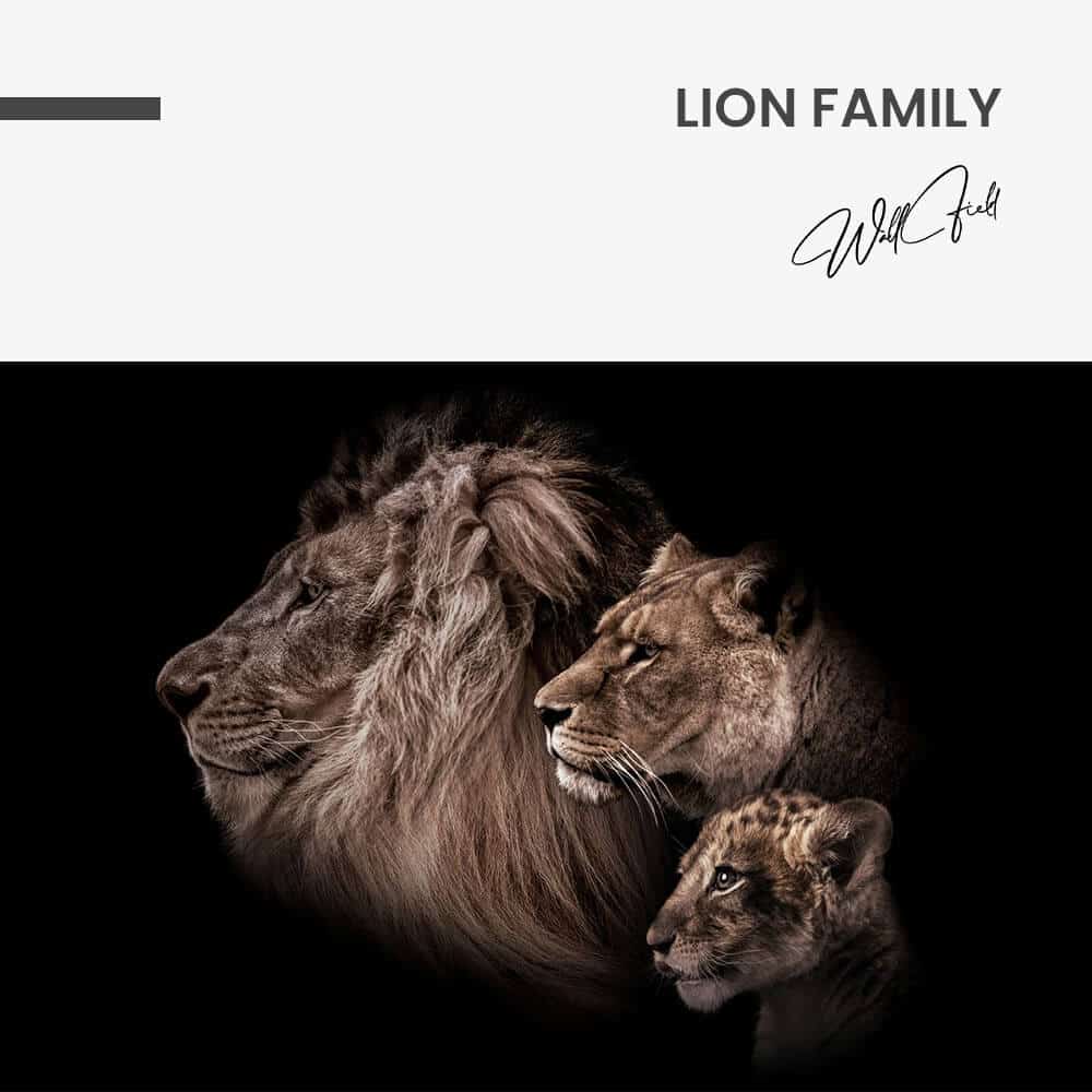 Lion Family – Vidrio