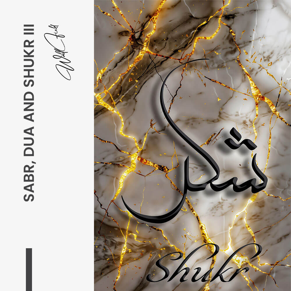 Bundle: "Sabr, Dua & Shukr" – Vidrio (3x)