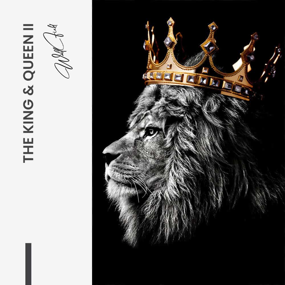Bundle: "The King Queen" (2x) – Vidrio