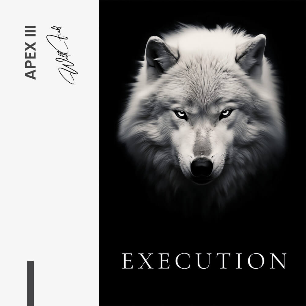 Bundle: "Apex" (3x) – Vidrio