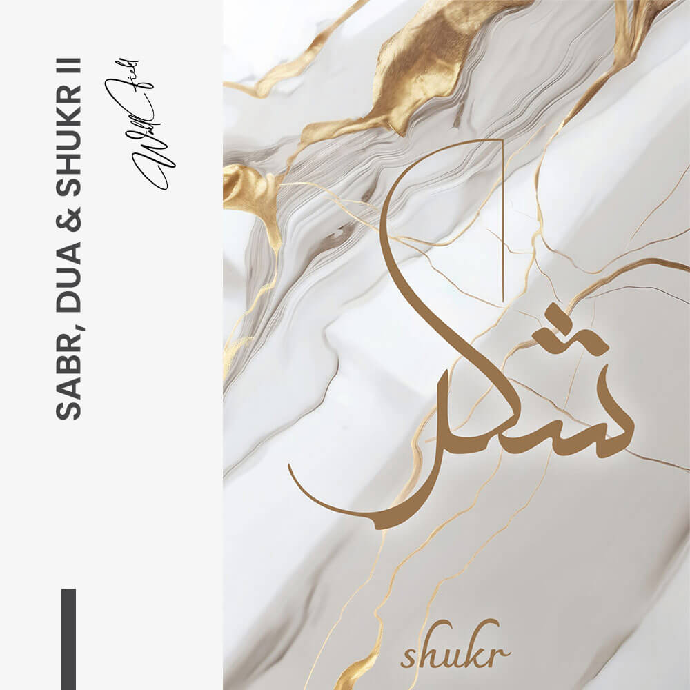 Bundle: "Blue Marble" (3x)