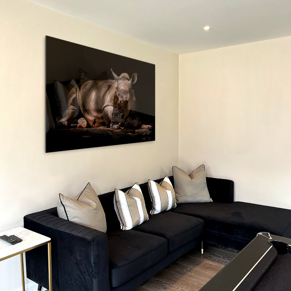 Rhino – Vidrio