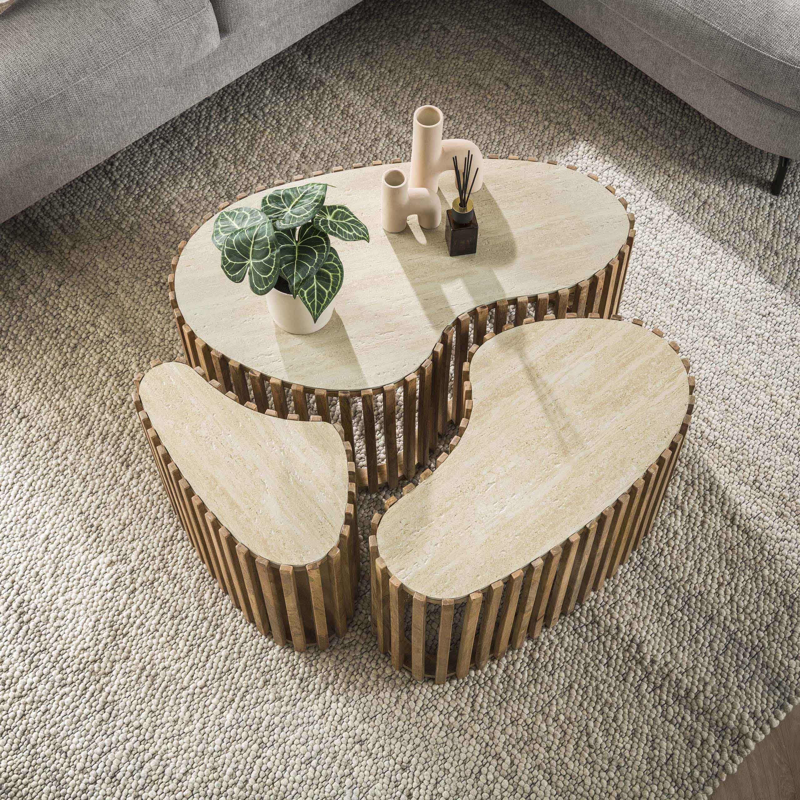 Coffee table Nuovo kidney-shaped set of 3 - Solid mango sand