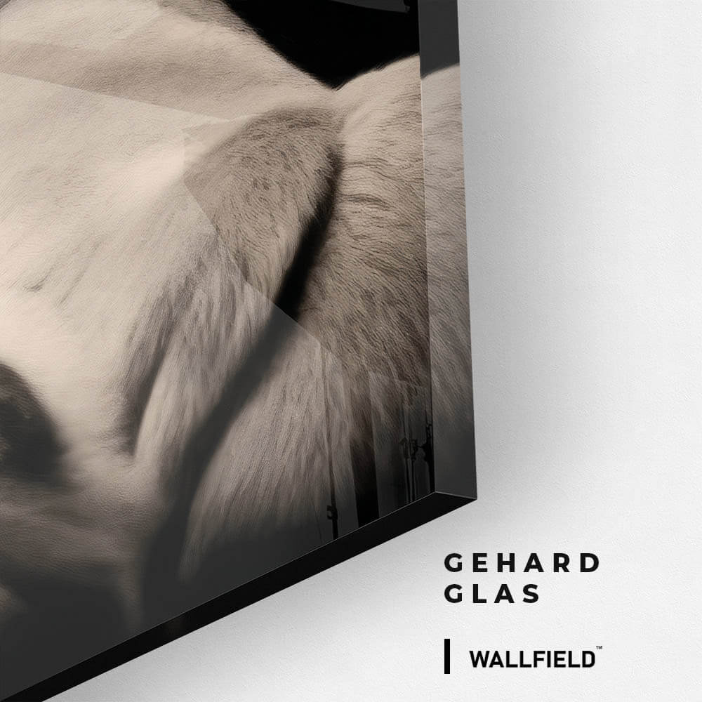 King of the Wild – Vidrio