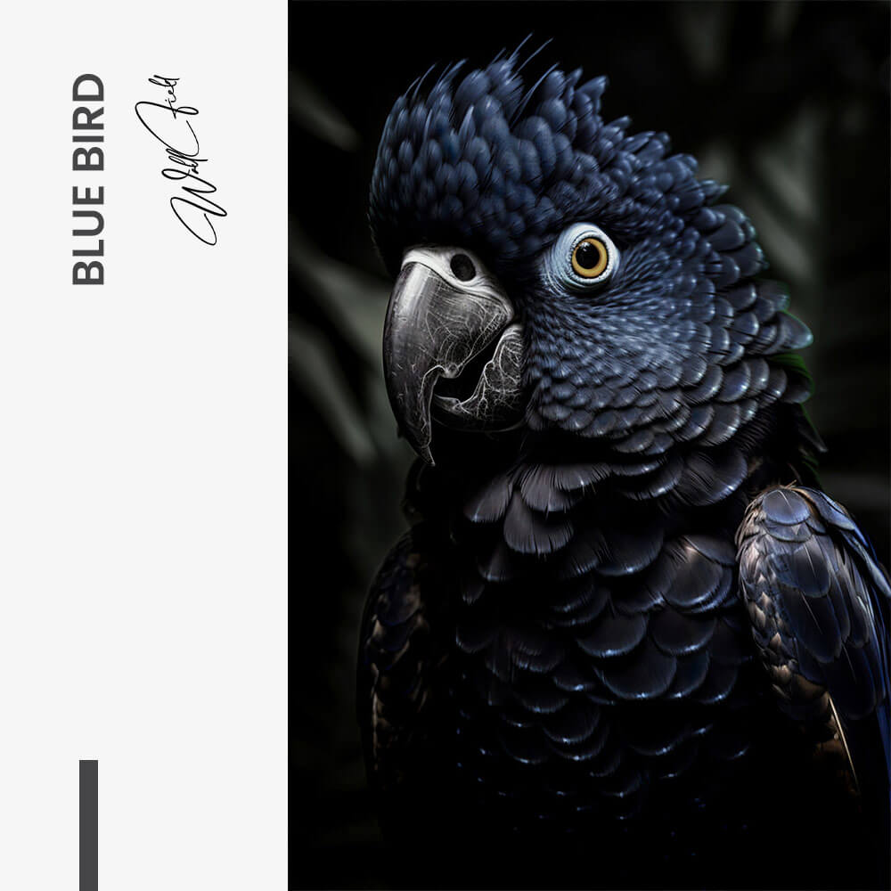 Blue Bird – Vidrio