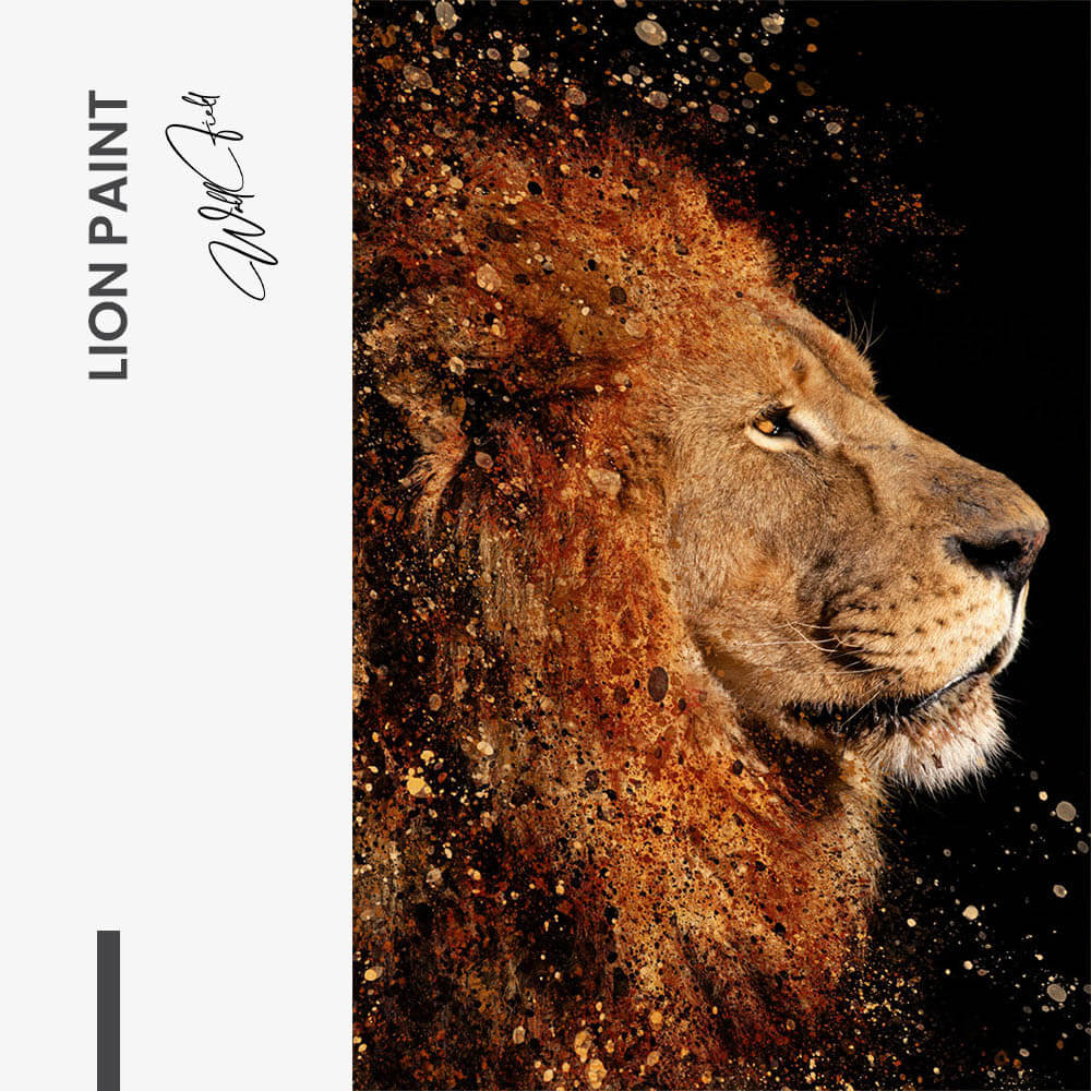 Lion Paint – Vidrio