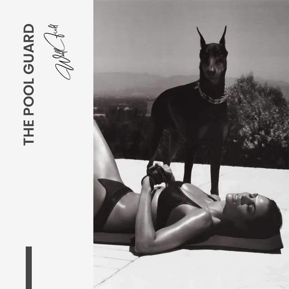 The Pool Guard – Vidrio