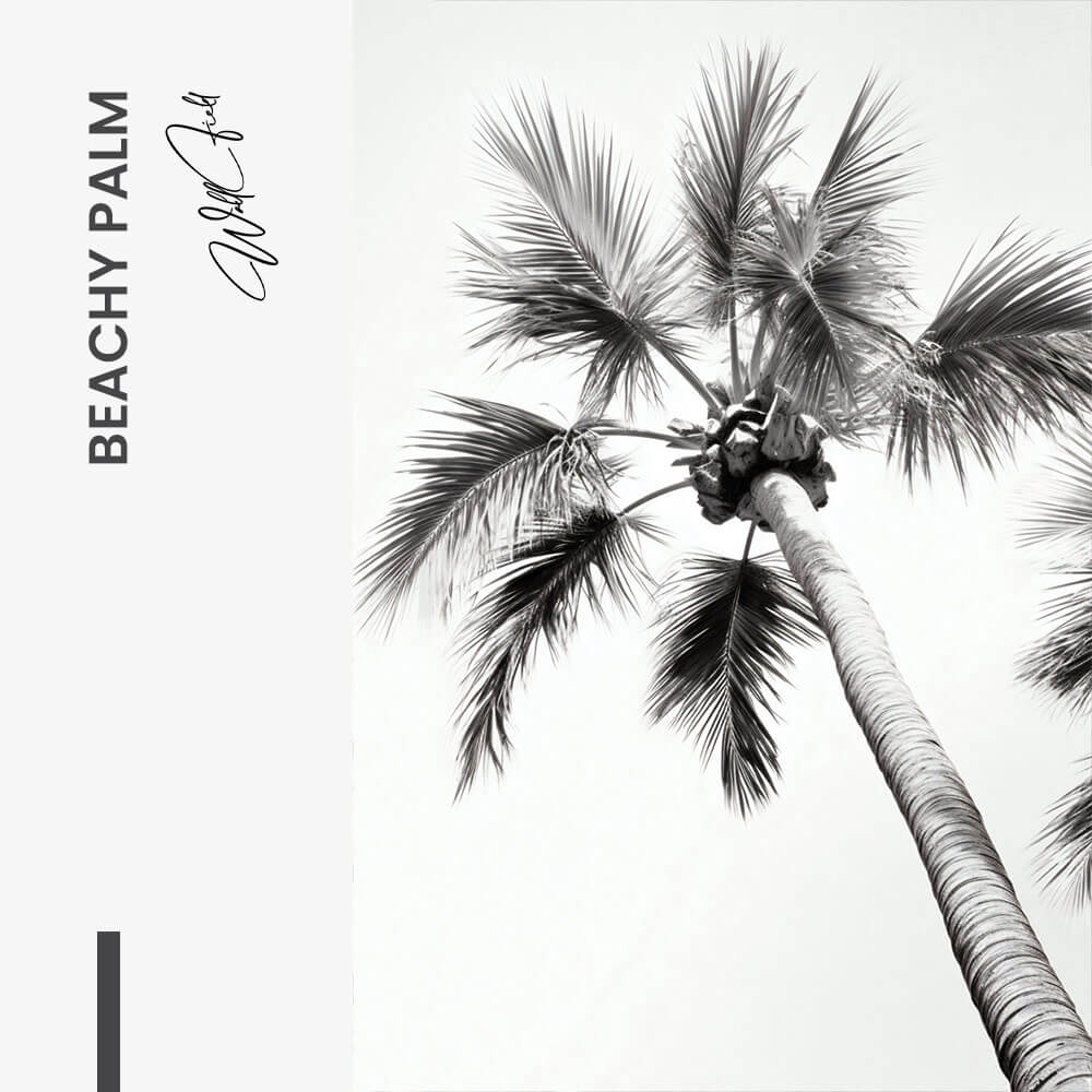 Beachy Palm - Glass