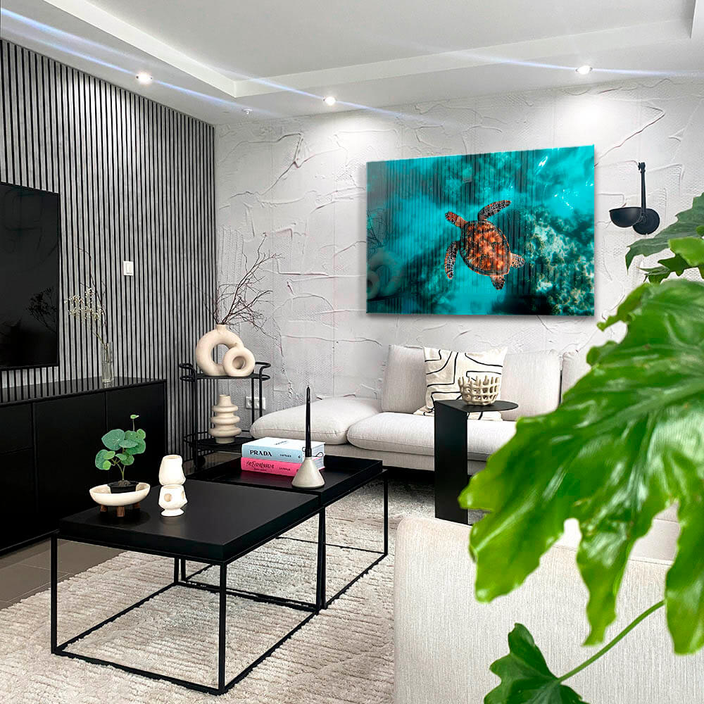 Sea Turtle HZ – Vidrio