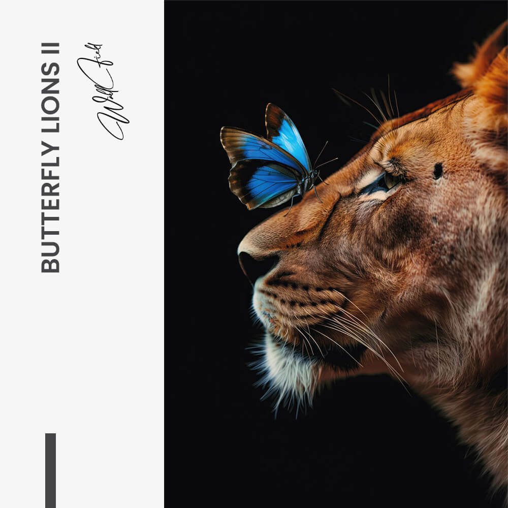 Butterfly Lioness – Glass