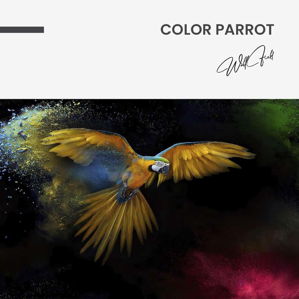 Color Parrot – Vidrio