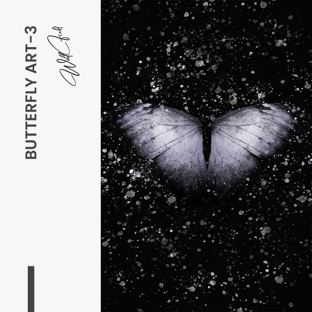 "Butterfly Art I"