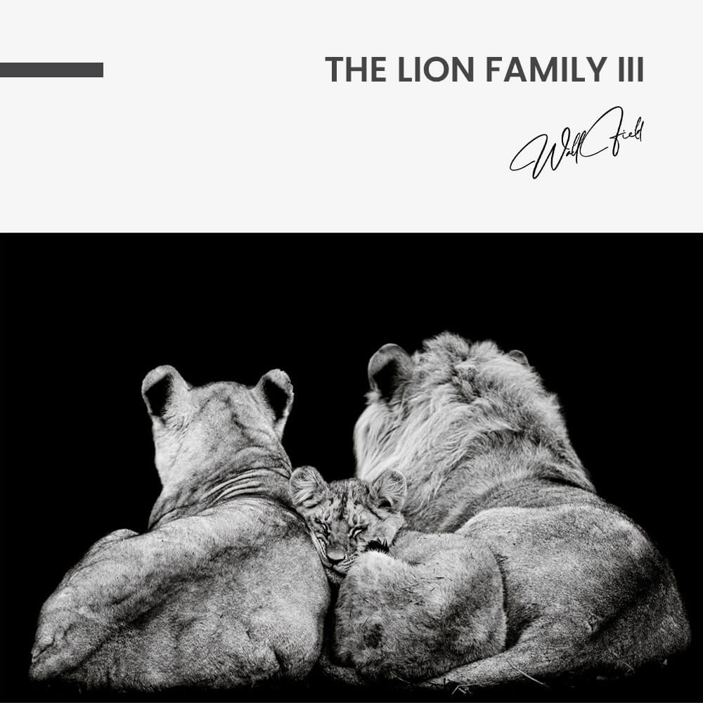The Lion Family III – Vidrio