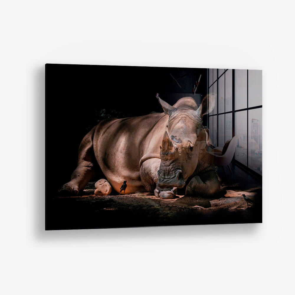 Rhino – Vidrio