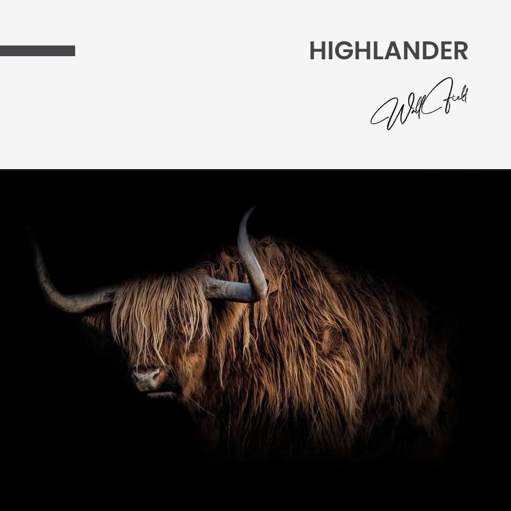 Highlander – Vidrio
