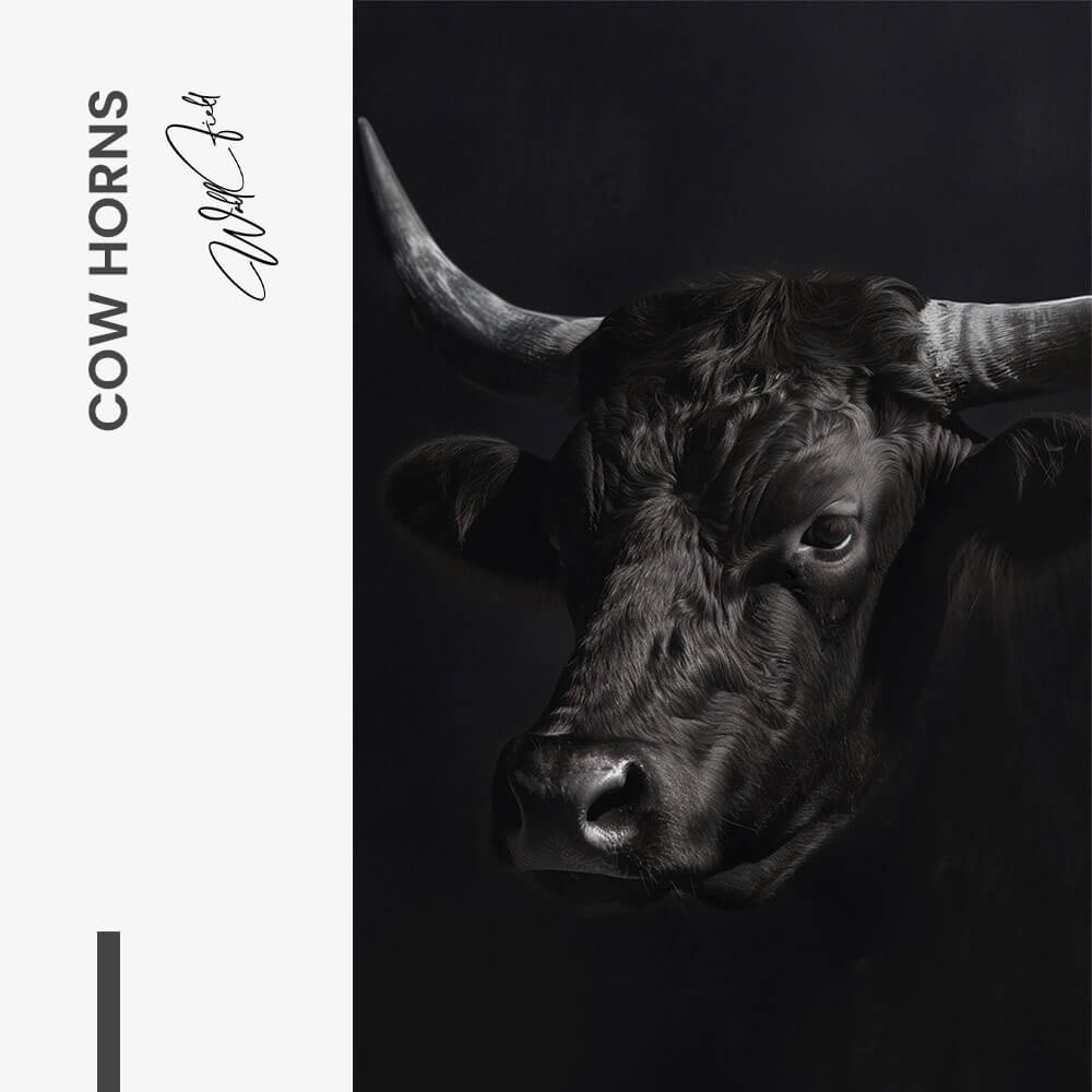 Cow Horns – Vidrio