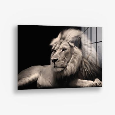 King of the Wild – Vidrio