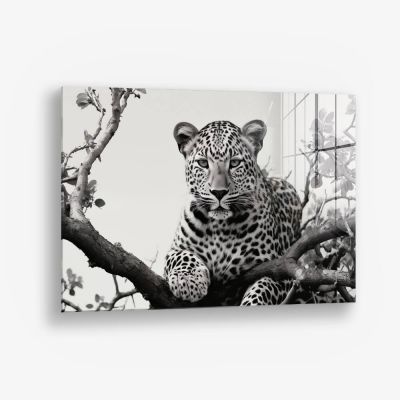 Jaguard In The Tree – Vidrio