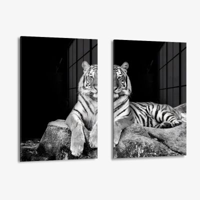 Bundle: "White Tiger" (2x) – Vidrio