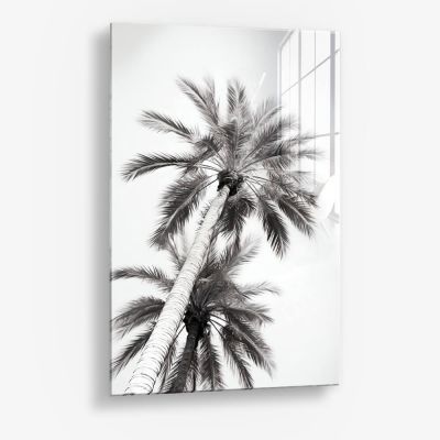 Under The Palm Trees – Vidrio