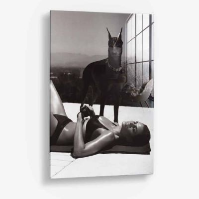 The Pool Guard – Vidrio