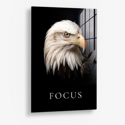 Focus – Vidrio