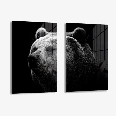 Bundle: "Big Bear" (2x) – Vidrio