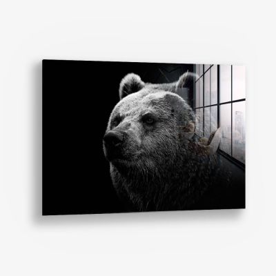 Big Bear – Vidrio