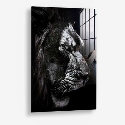 The King – Vidrio