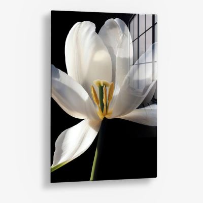 White Flower – Vidrio