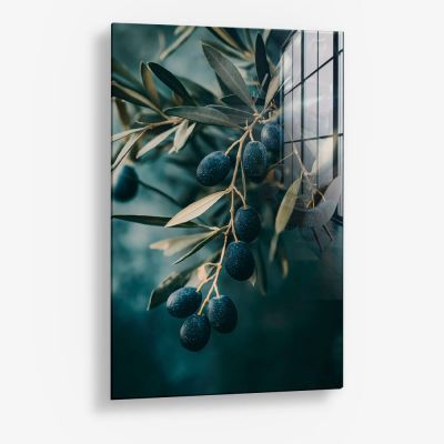 Olive Tree Closeup – Vidrio