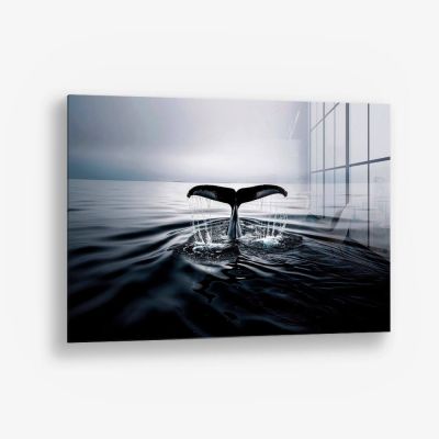 Whale's Tail – Vidrio
