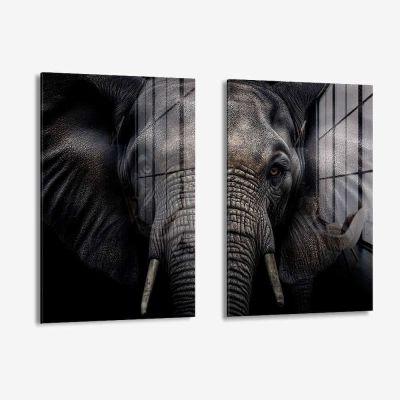 Bundle: "Elephant" (2x) – Vidrio