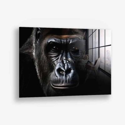 The Gorilla – Vidrio